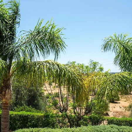 Villa Bliss 450 M2 Luxury Oasis With Saltwater Pool